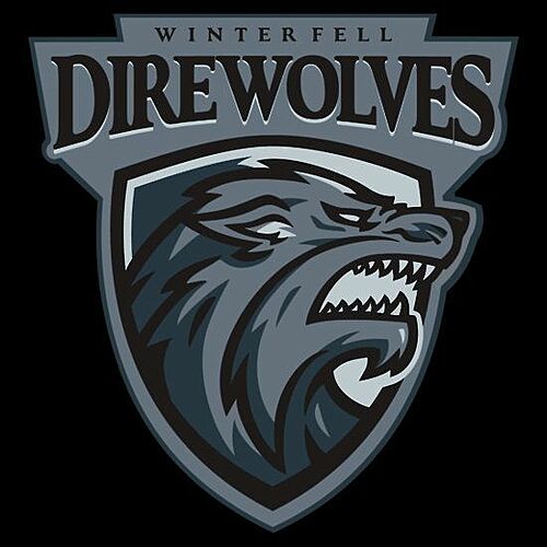 Voyagers Vs. Direwolves poster
